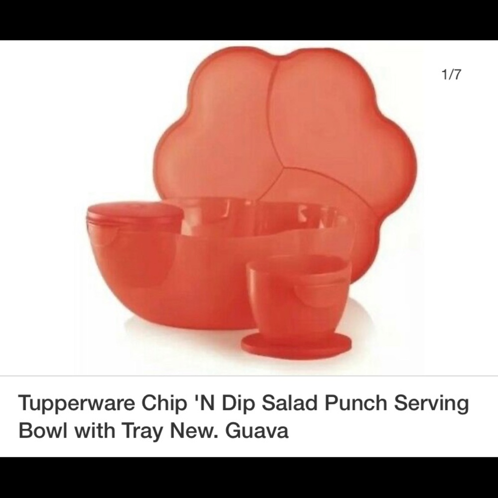 Tupperware coral chip n dip